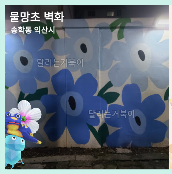 푸른 물망초