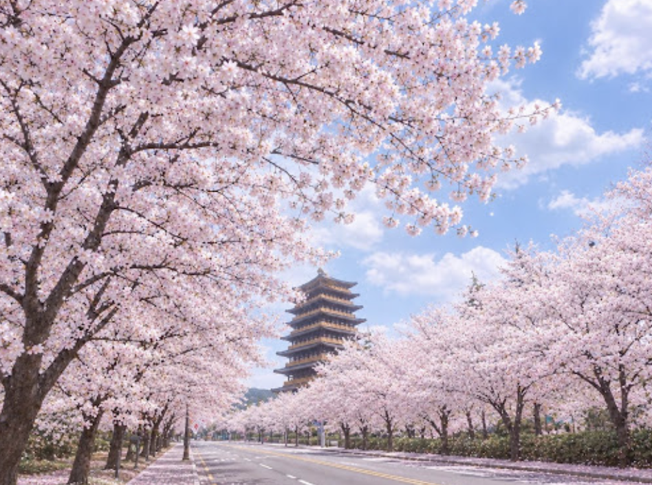 경주 중도타워